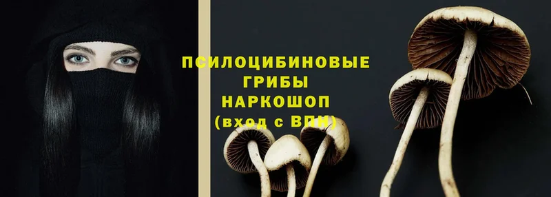 Псилоцибиновые грибы ЛСД  дарк нет какой сайт  Кунгур  купить  